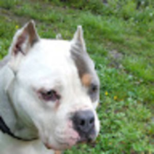 Meet your Posher, Kai